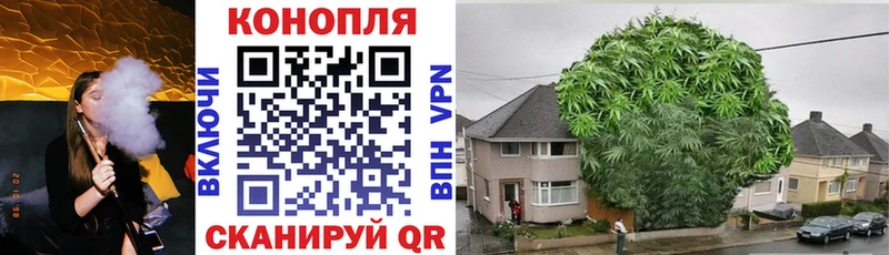 МАРИХУАНА семена Похвистнево